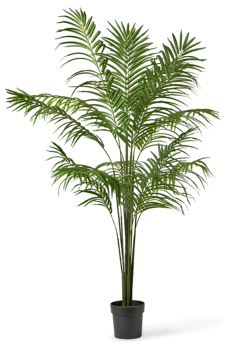 Palm, Konstväxt i kruka, H 180 Ø 116 cm