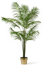 Palm - Konstväxt i kruka, H 180 Ø 116 cm - Grön
