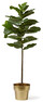 Fiolfikus - Konstväxt i kruka, H 128 Ø 40 cm - Grön