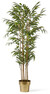 Bambu - Konstväxt i kruka, H 170 cm - Grön