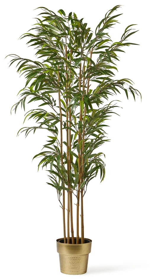 Bambu - Konstväxt i kruka, H 170 cm - Grön