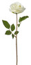 Ros - Snittblomma, H 47 cm - Vit