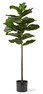 Fiolfikus - Konstväxt i kruka, H 128 Ø 40 cm - Grön