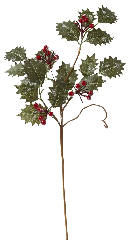 Järnek - Blomdekoration, H 53 cm - Grön