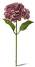 Hortensia - Snittblomma, H 48 cm - Rosa