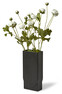 Ranunkel - Snittblomma, H 87 cm - Vit