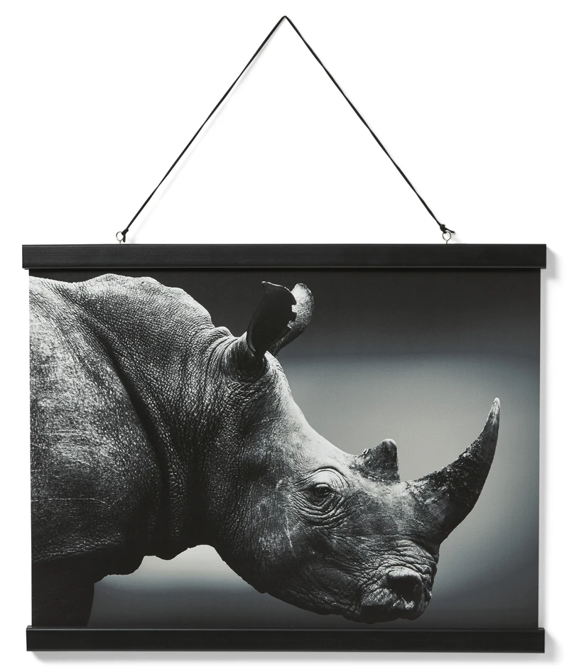 Athena - Posterskena, B 51 cm - Svart