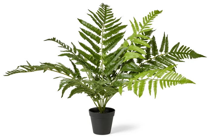 Ormbunke, Konstväxt i kruka, H 75 cm