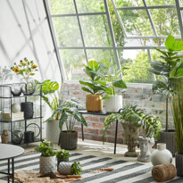 Odette - Rullvagn, H 78 cm - inspiration