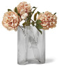 Pion - Snittblomma, H 54 cm - Beige