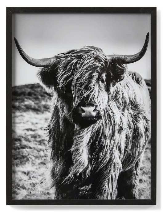 Highlander, Tavla, 30x40 cm