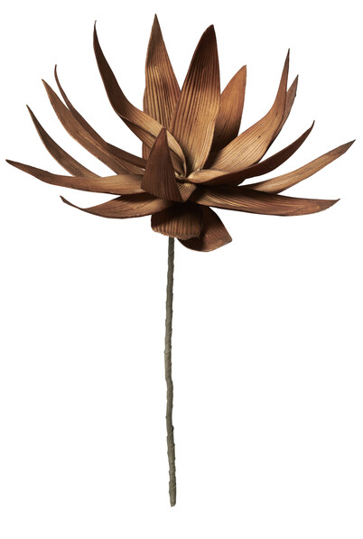 Malon - Blomdekoration, H 83 cm - Brun