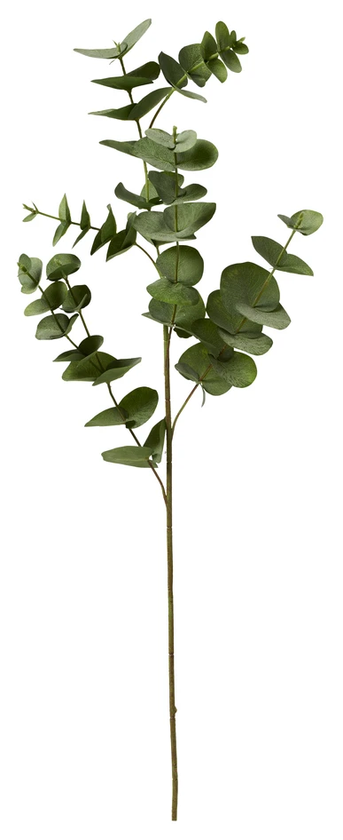 Eucalyptus - Konstväxt, H 36 cm - Grön