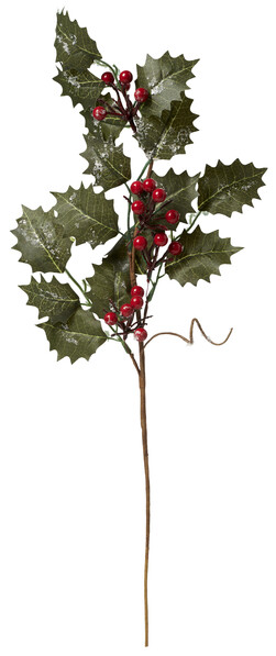 Järnek - Blomdekoration, H 53 cm - Grön