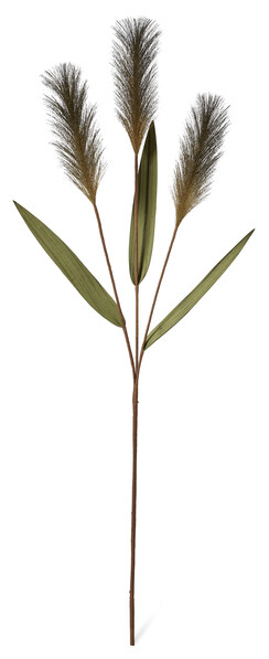 Naia - Blomdekoration, H 97 cm - Brun