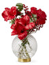 Amaryllis - Snittblomma, H 55 cm - Röd