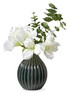 Amaryllis - Snittblomma, H 55 cm - Vit